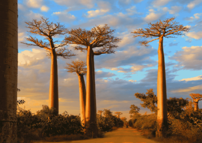 Madagascar-Escapade-Voyages-2026