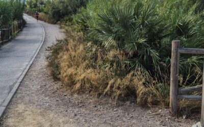 Murcie à vélo électrique
